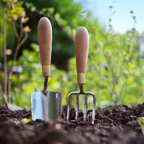 gardening tools in soil