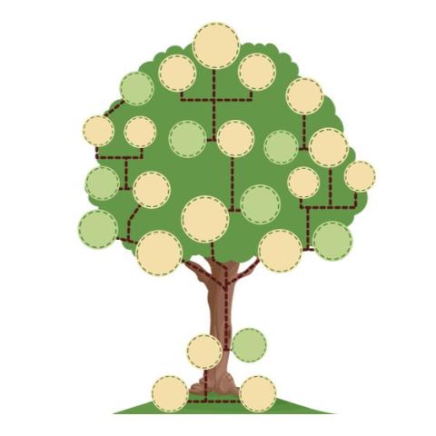 drawing of a family tree