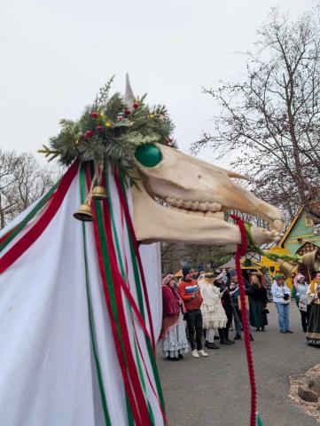 Steel City Mari Lwyd, a festive decorated horse skull