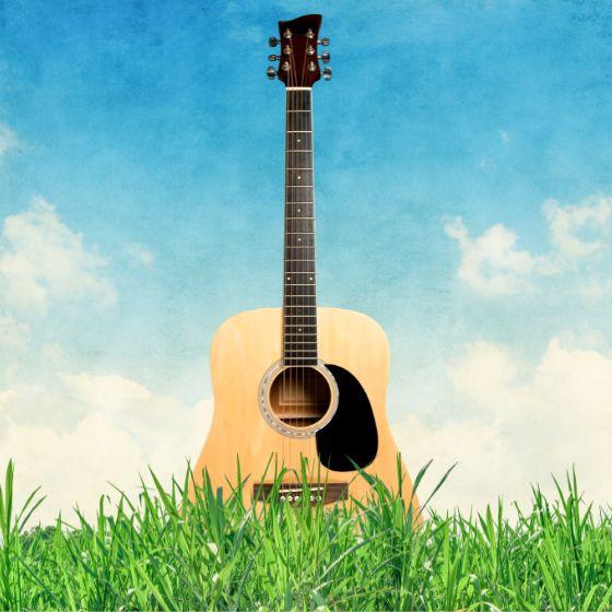 guitar in grass